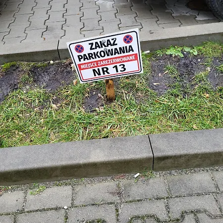 Ap4You Tauron Cracow-2